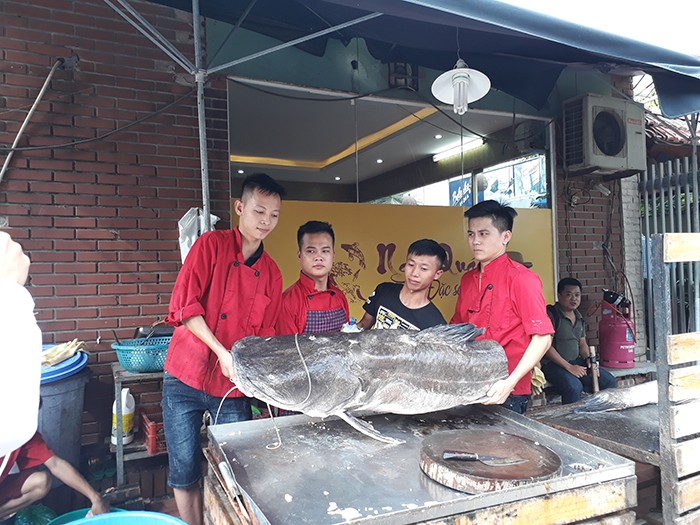 Nha hang Ha Noi mo ca lang hon 1 ta phuc vu thuc khach-Hinh-7